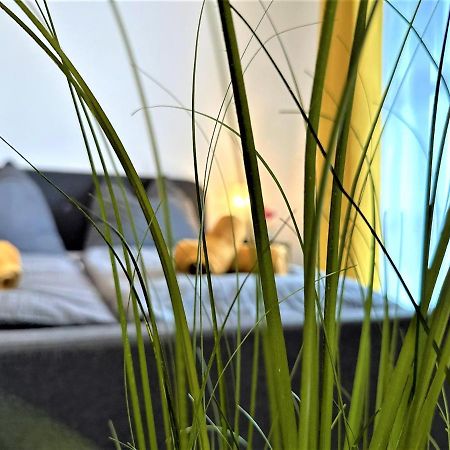 Gemuetliches Studio Im Bayerwald +Pool +Sauna +Wifi Zwiesel Eksteriør bilde