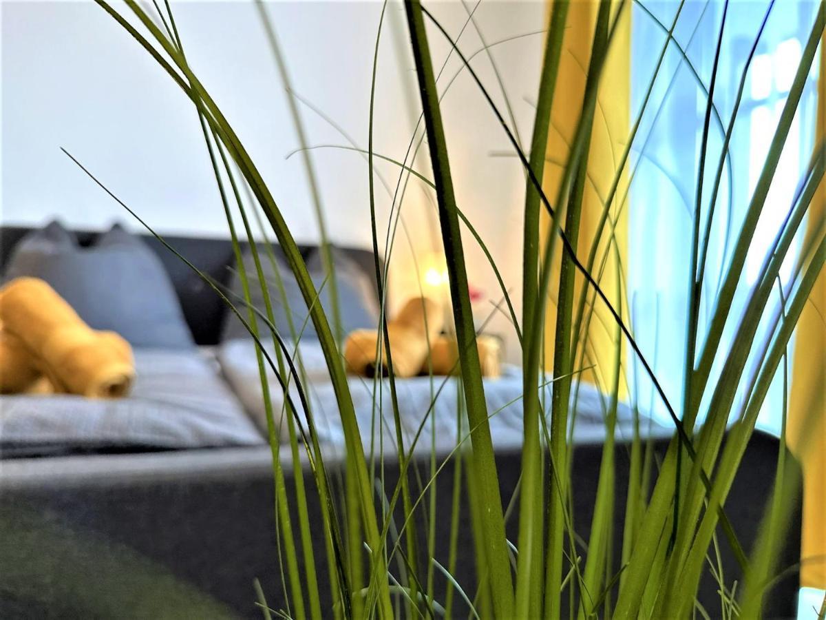 Gemuetliches Studio Im Bayerwald +Pool +Sauna +Wifi Zwiesel Eksteriør bilde