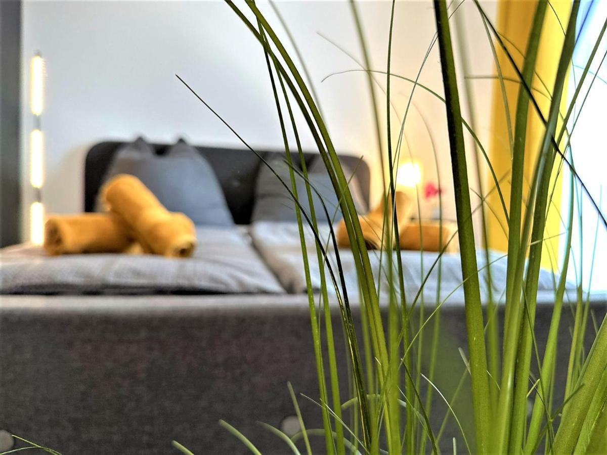 Gemuetliches Studio Im Bayerwald +Pool +Sauna +Wifi Zwiesel Eksteriør bilde